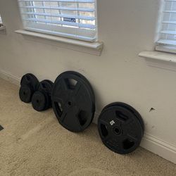 Gold’s Gym Weight Plates