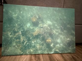 Large 36” x 24” Underwater Ocean Canvas Wall Art – Seafoam Green