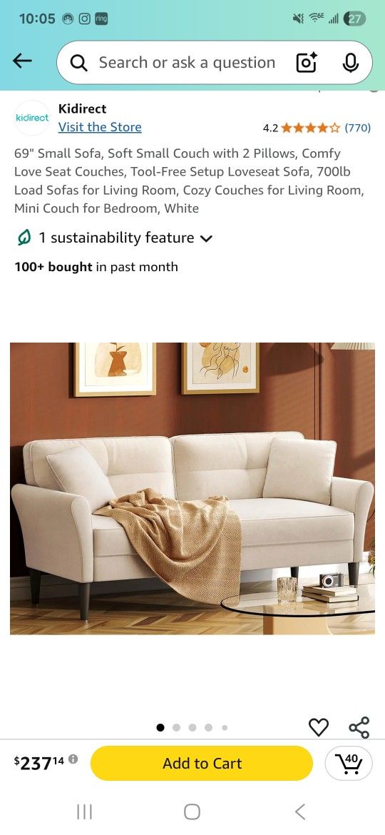 White Sofa Couch