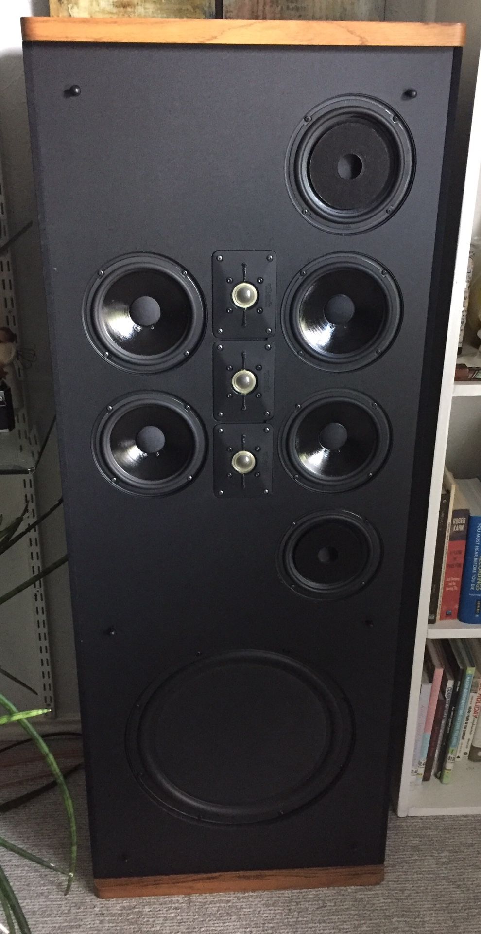 Polk Audio SDA SRS 2.3 Speakers.