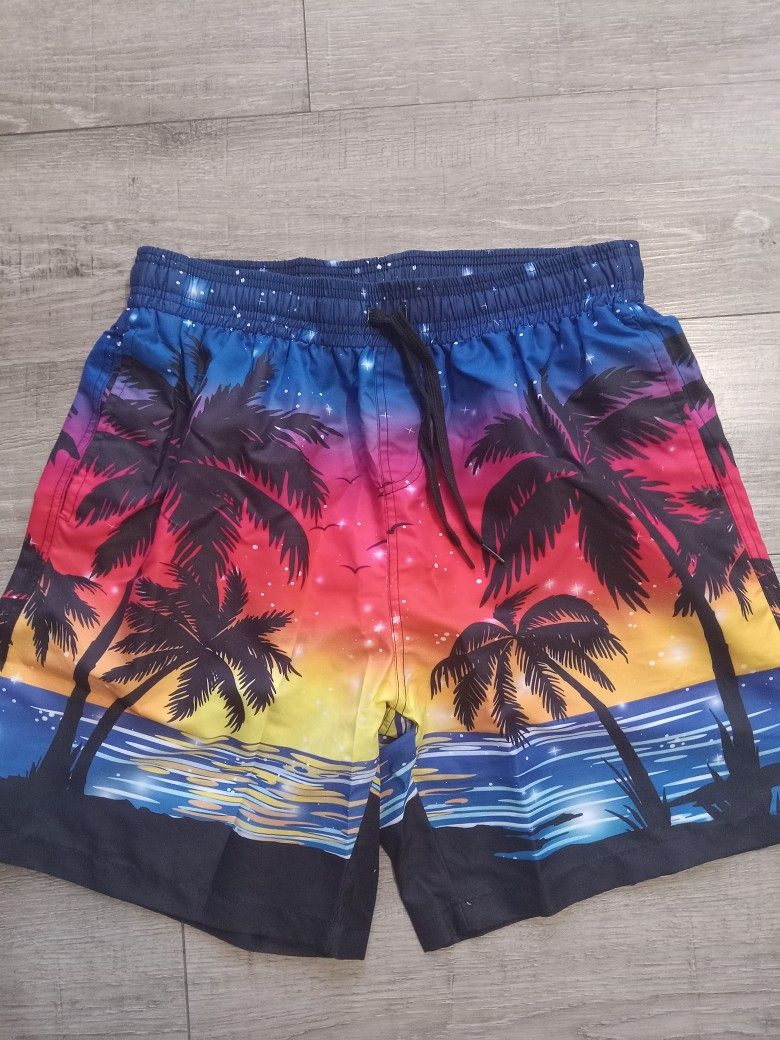 Mens Colorful Swim Trunks/board Shorts Lined Size Large New Without Tags 