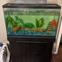 40 gallon tall with stand And light and some decorations