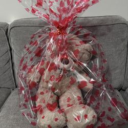 Valentine’s Day Giant Teddy Bears – Ready to Gift
