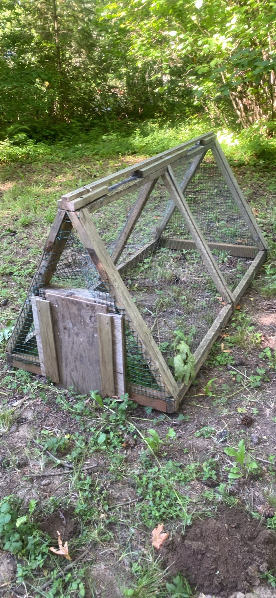 Free Chicken Tractor