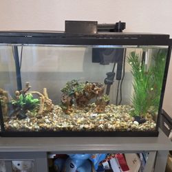 10 Gallon Fish Tank