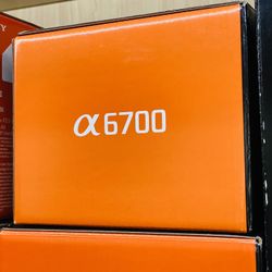 Sony a6700 Mirrorless Camera