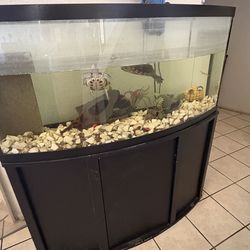 Fish tank for sale don’t have the top cover for it