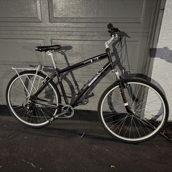 Diamond Back Edge Wood