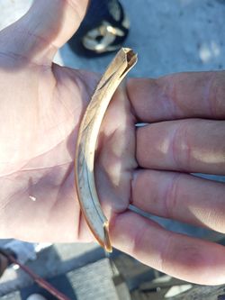 Artifacts and fossils