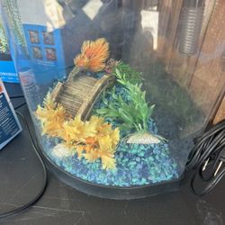 Aquarium Tank 