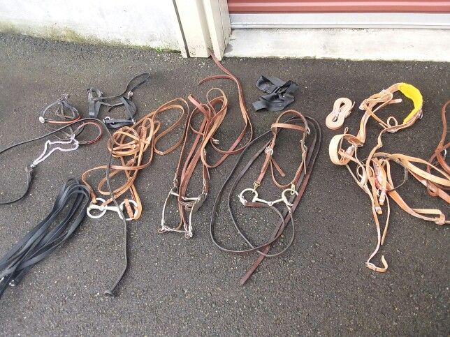 3 Horse Bridles Leather Straps And Assorted Tack