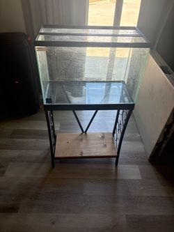 Fish tank with stand