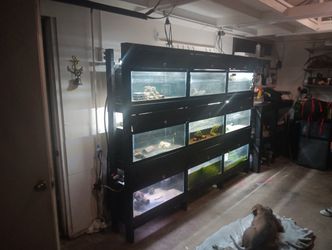 Fish Tanks