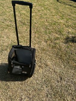 Dog/Cat Carrier Bag