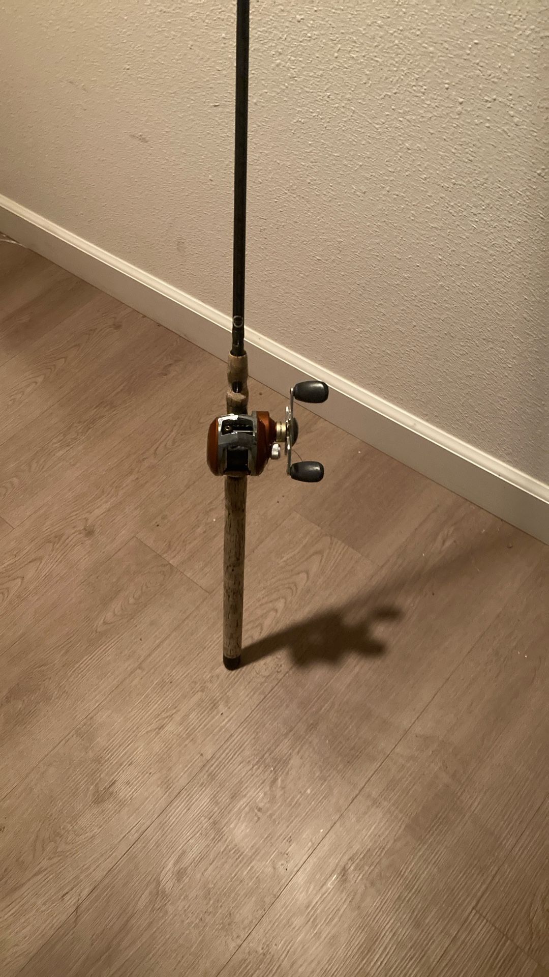 Fishing Rod With Baitcaster Reel