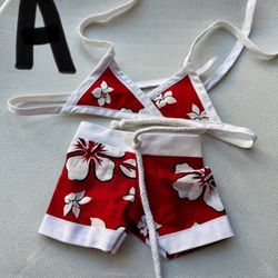 American Girl And Our Generation