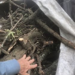Tamarind logs for barbeque BBQ / firepit price negotiable 