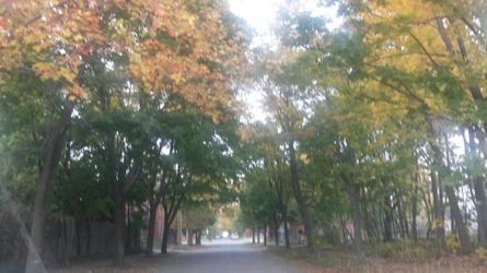 household item west Detroit