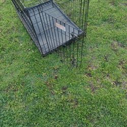 Dog Case 