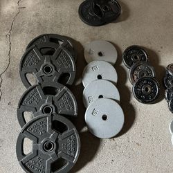 200+ Lbs Free Weights With Barbells / Dumbells