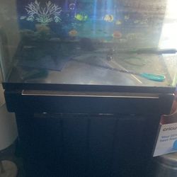 10 Gallon Tank With Stand with Open Door 
