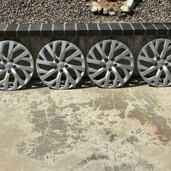 Toyota Corolla Hubcaps
