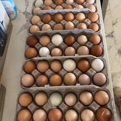 Eggs !!