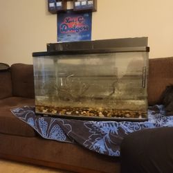 55 Gallon Fish Tank