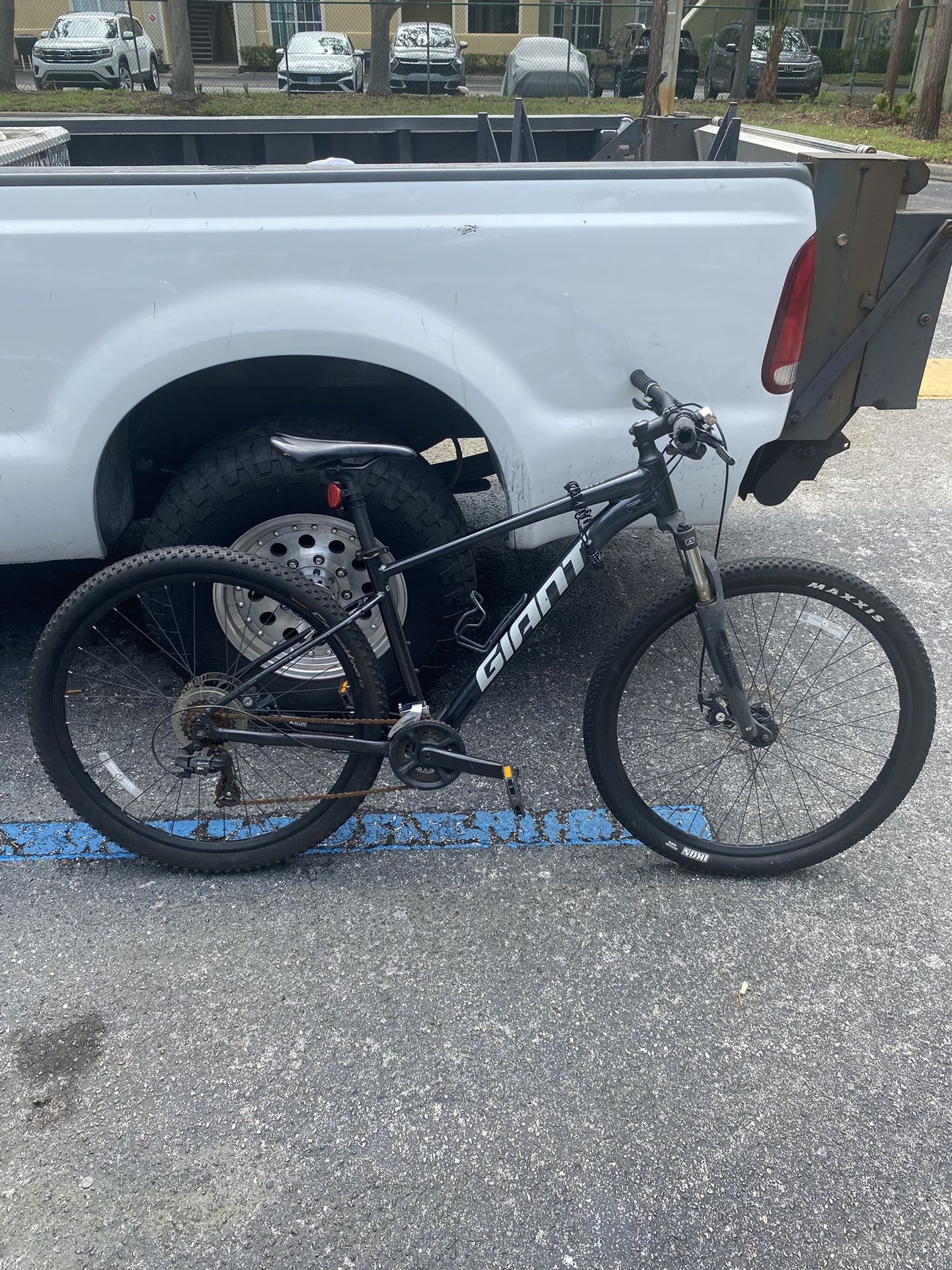 Giant Bike