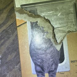 Cat Door