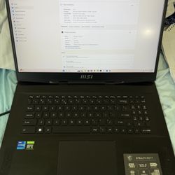 MSI 17.3” i7 Gaming Laptop RTX 3060