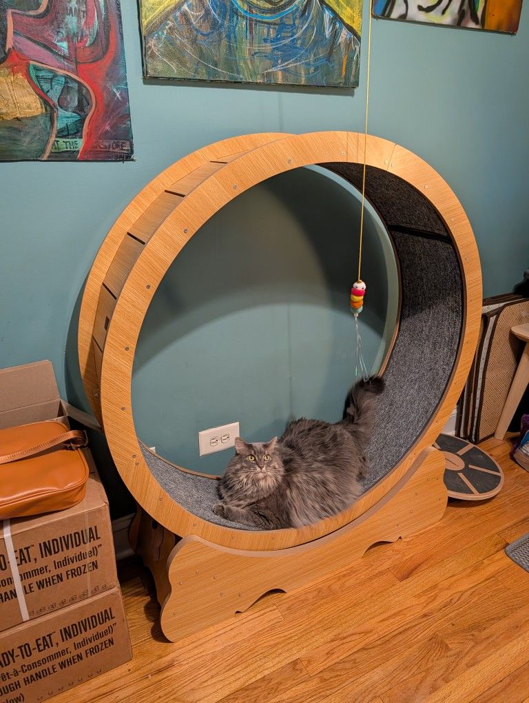 Cat & Dog Exercise Wheel XL