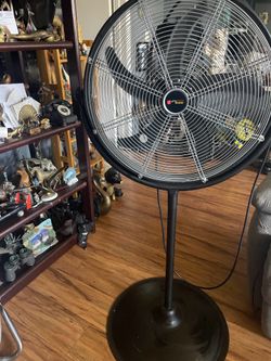 Fan