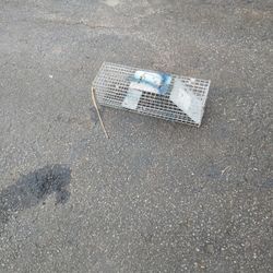 Cage Trap