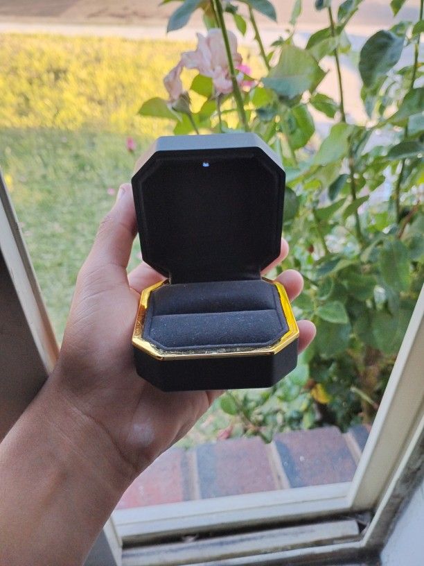 Ring Case With Light