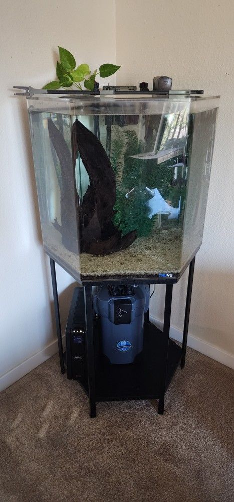 55 Gallon Hexagon Aquarium