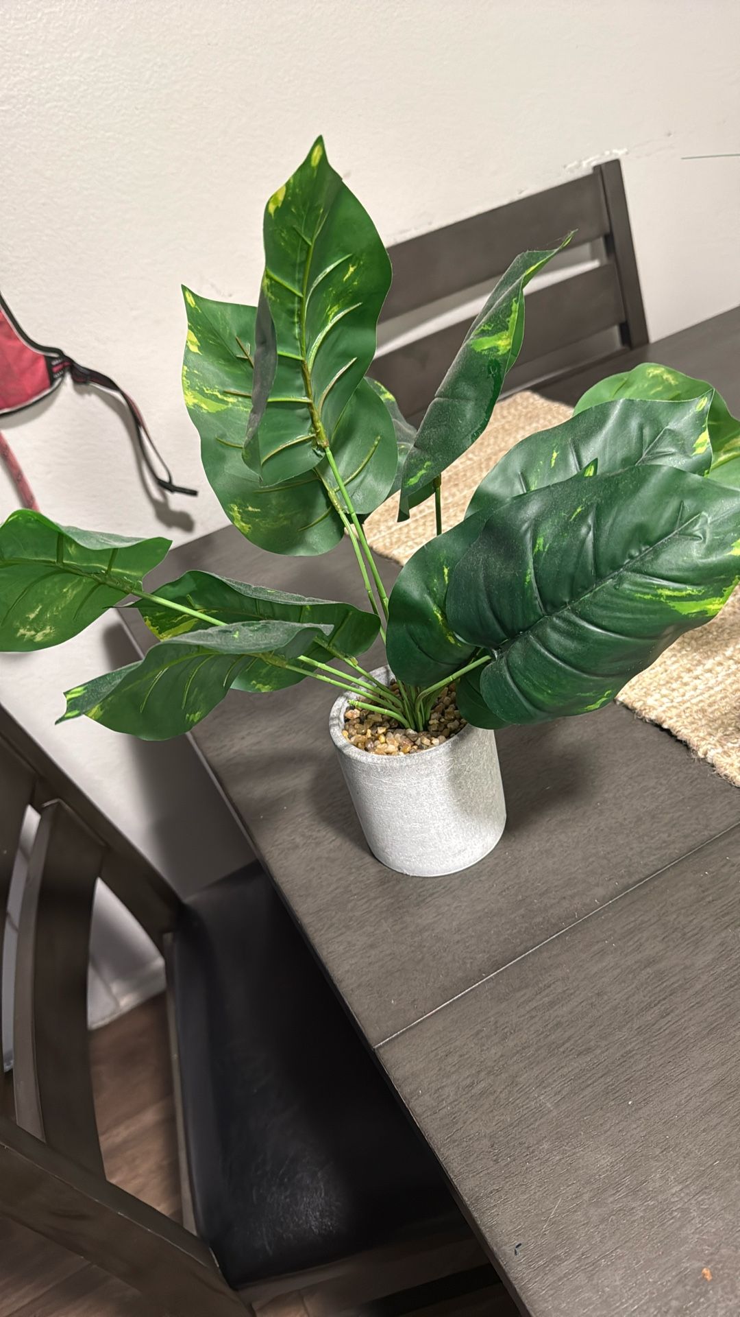 Fake Plant