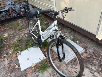 Schwin Road Runner Female Bicycle