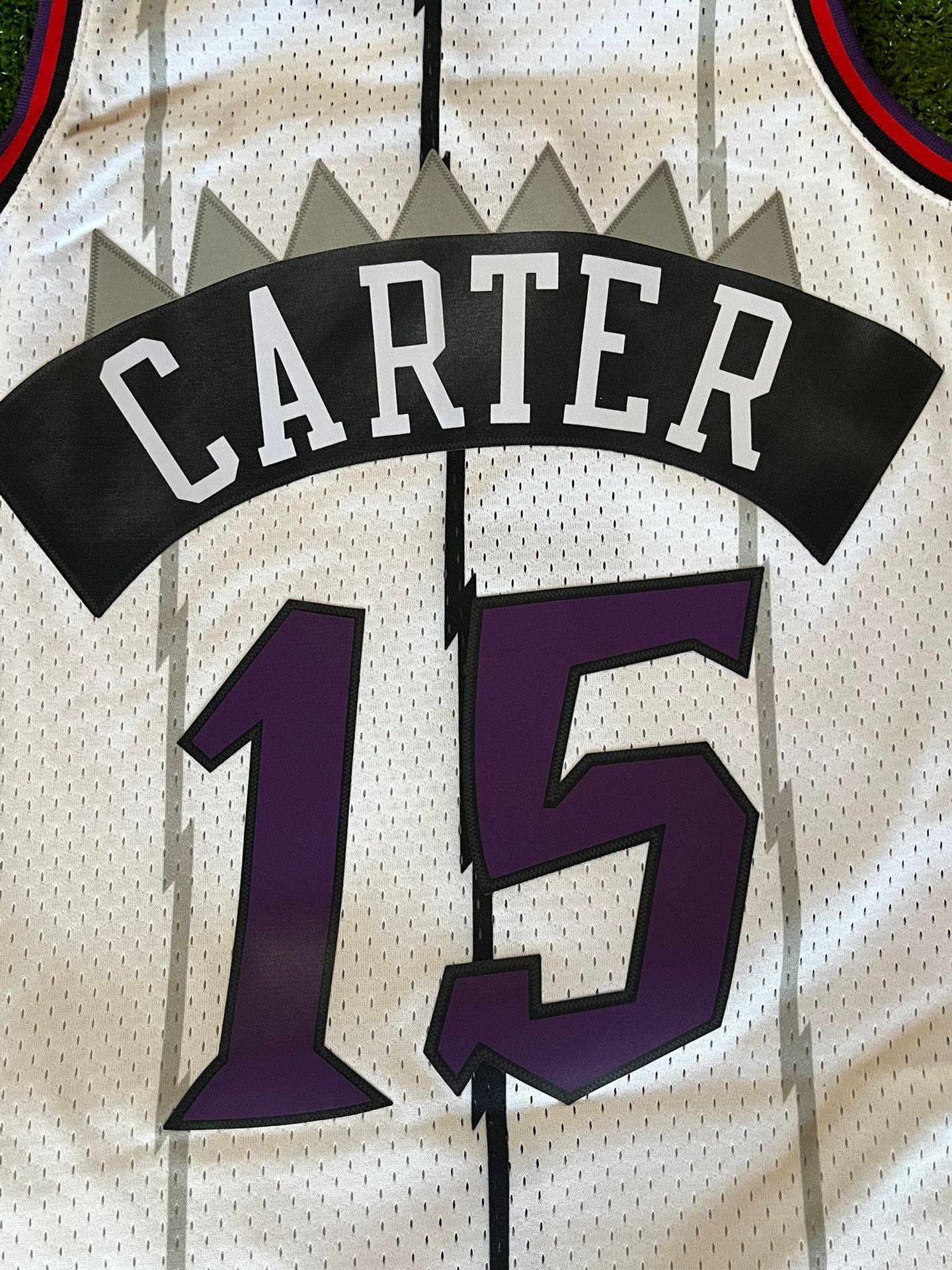 🏆 TORONTO RAPTORS Dinosaur Jersey voted BEST OF ALL-TIME by