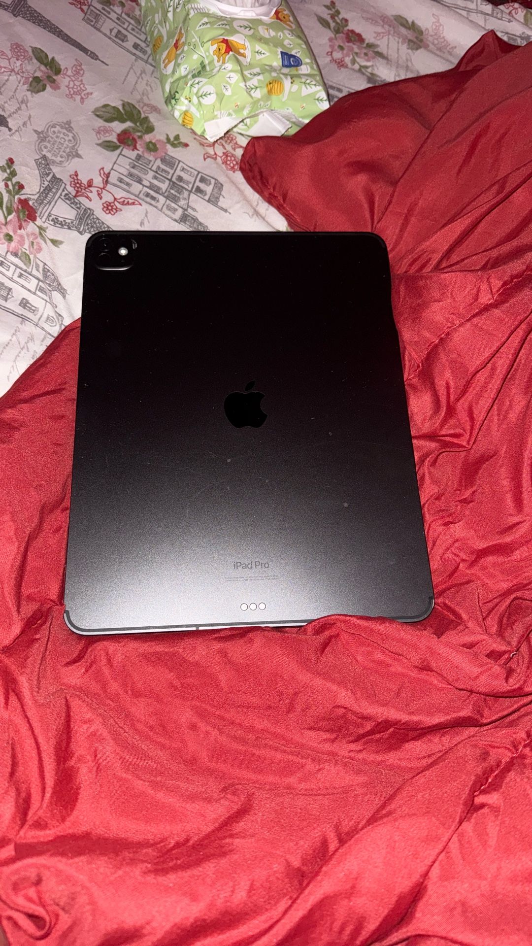 iPad Pro 13 Inch (M4) 2024 256GB