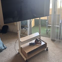 TV Mount (Rolling/Mobile) 