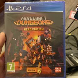 Limited edition Minecraft dungeons heard edition