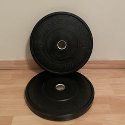 25 LB Bumper Plates