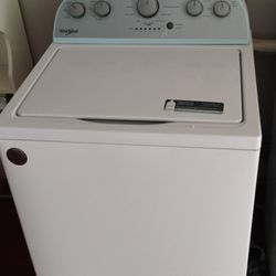 Scrapy Dappy Doo Washer 