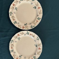 Mikasa “Cottage Flair “ Dinner Plates, Set Of Two