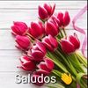 Claudia