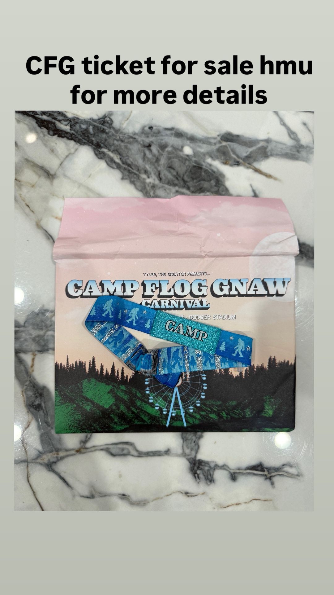 Camp Flog Gnaw Festival