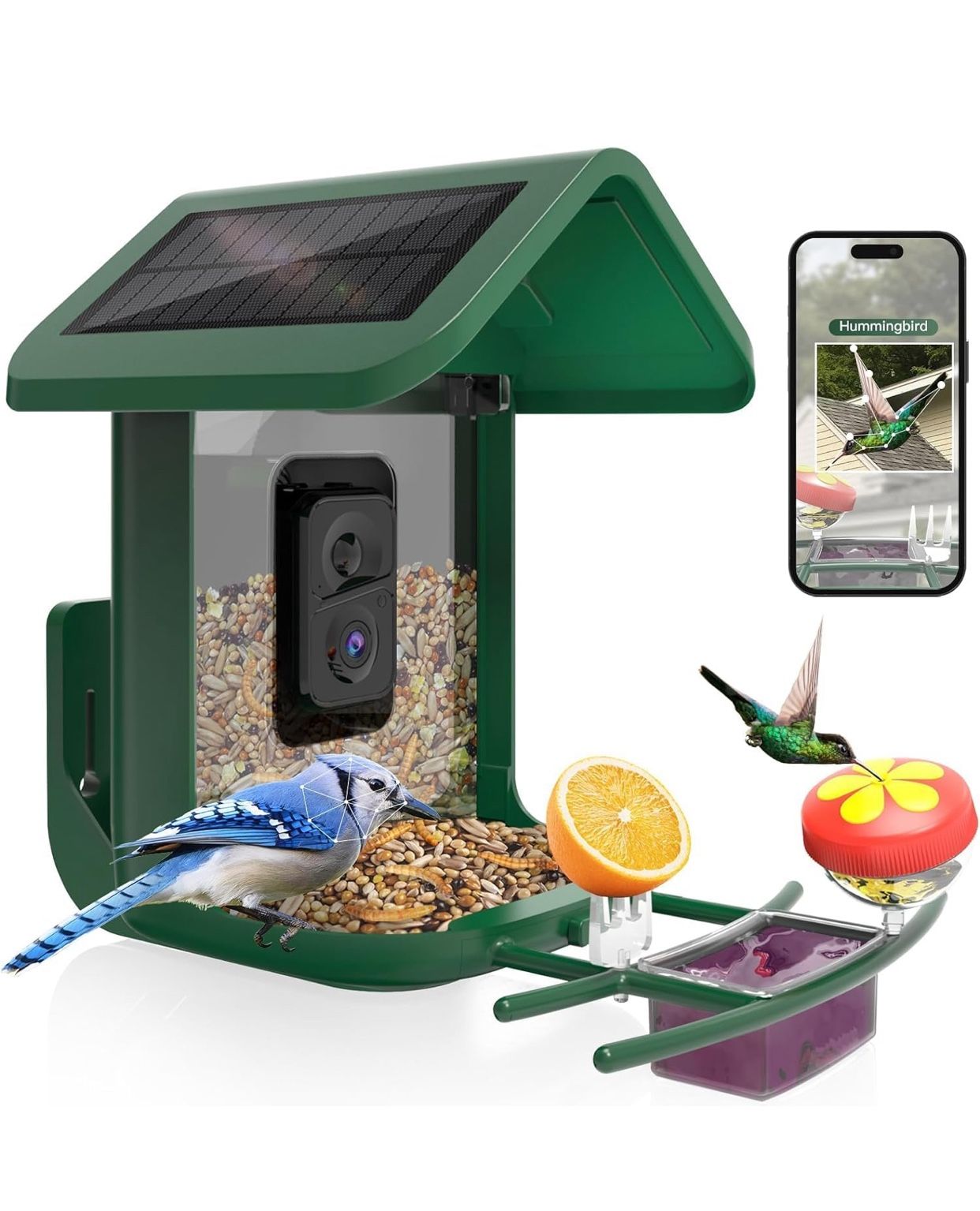 Bird Feeder with Camera Solar Powered : Smart Camera Bird Feeder 2K Live Feed Cam for Backyard - AI Identify Auto Capture Videos Pictures, Gifts for B