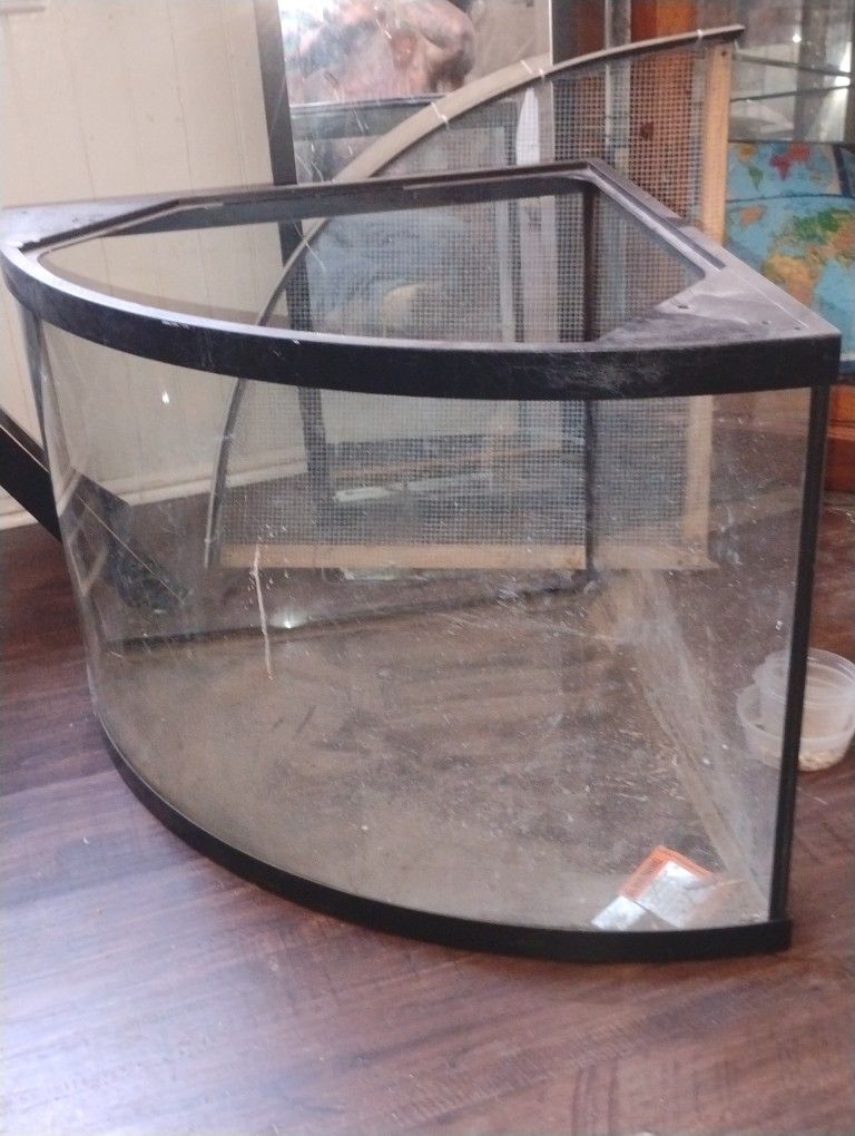 Bowed Fish Tank