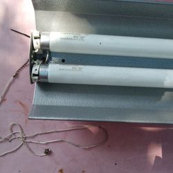 Fluorescent lamp.